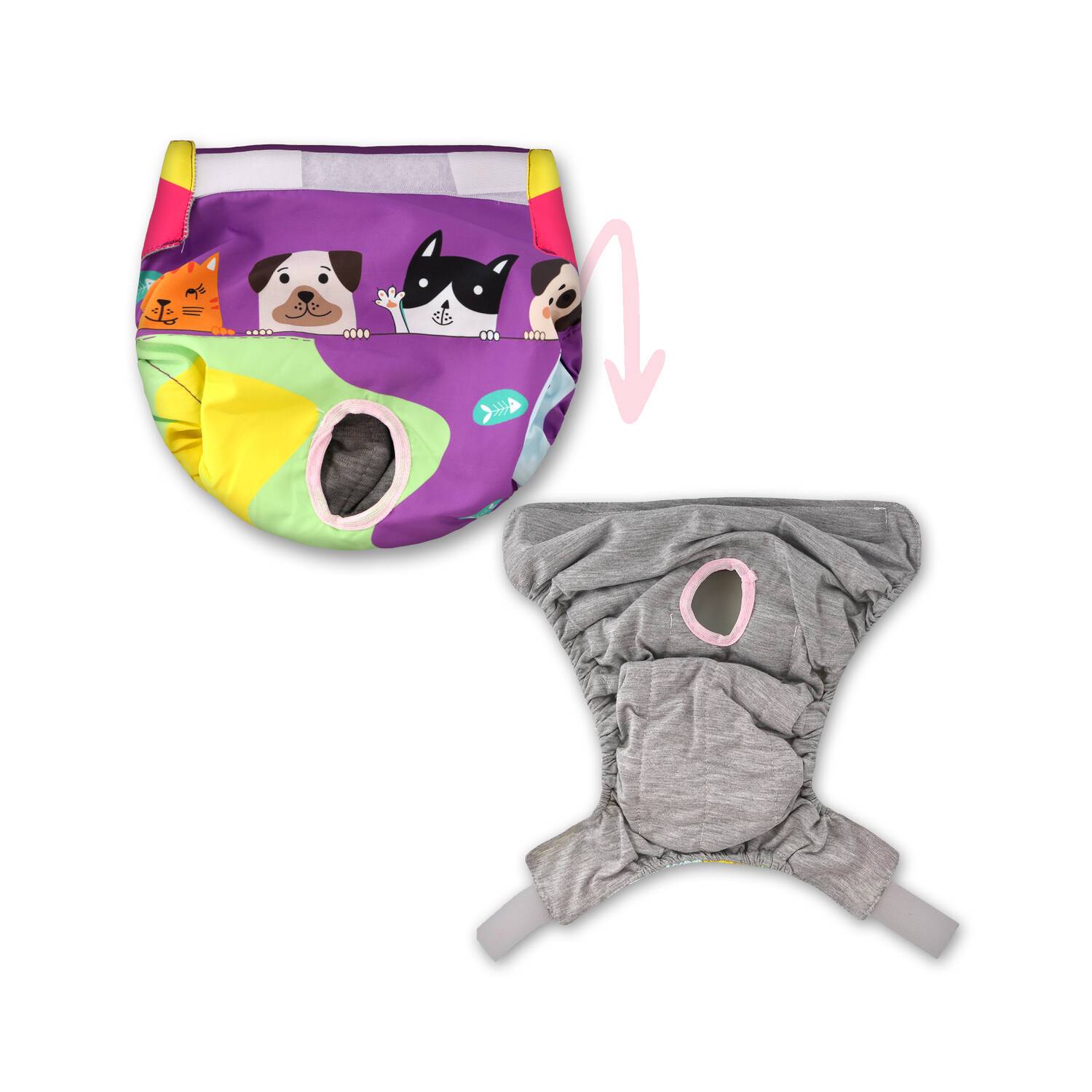 شورتکس سگ ماده تادو